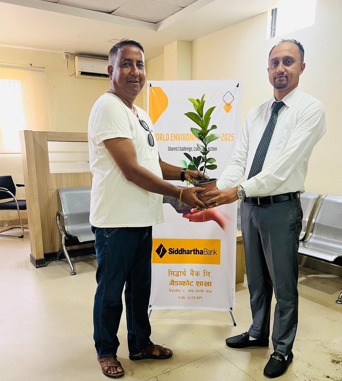 Plant Distribution on the Occasion of World Environment Day 2025